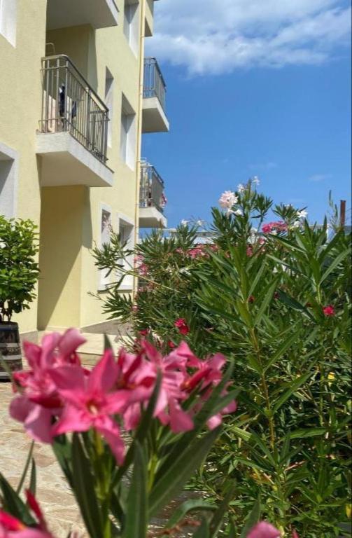 Byala Friendy Sea Apartaments Luaran gambar